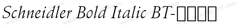Schneidler Bold Italic BT字体转换